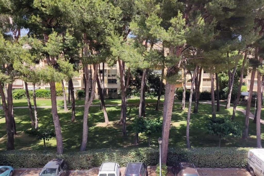 Bel Appartement Avec Piscine Proche Des Plages Сикс-Фор-ле-Плаж Екстериор снимка